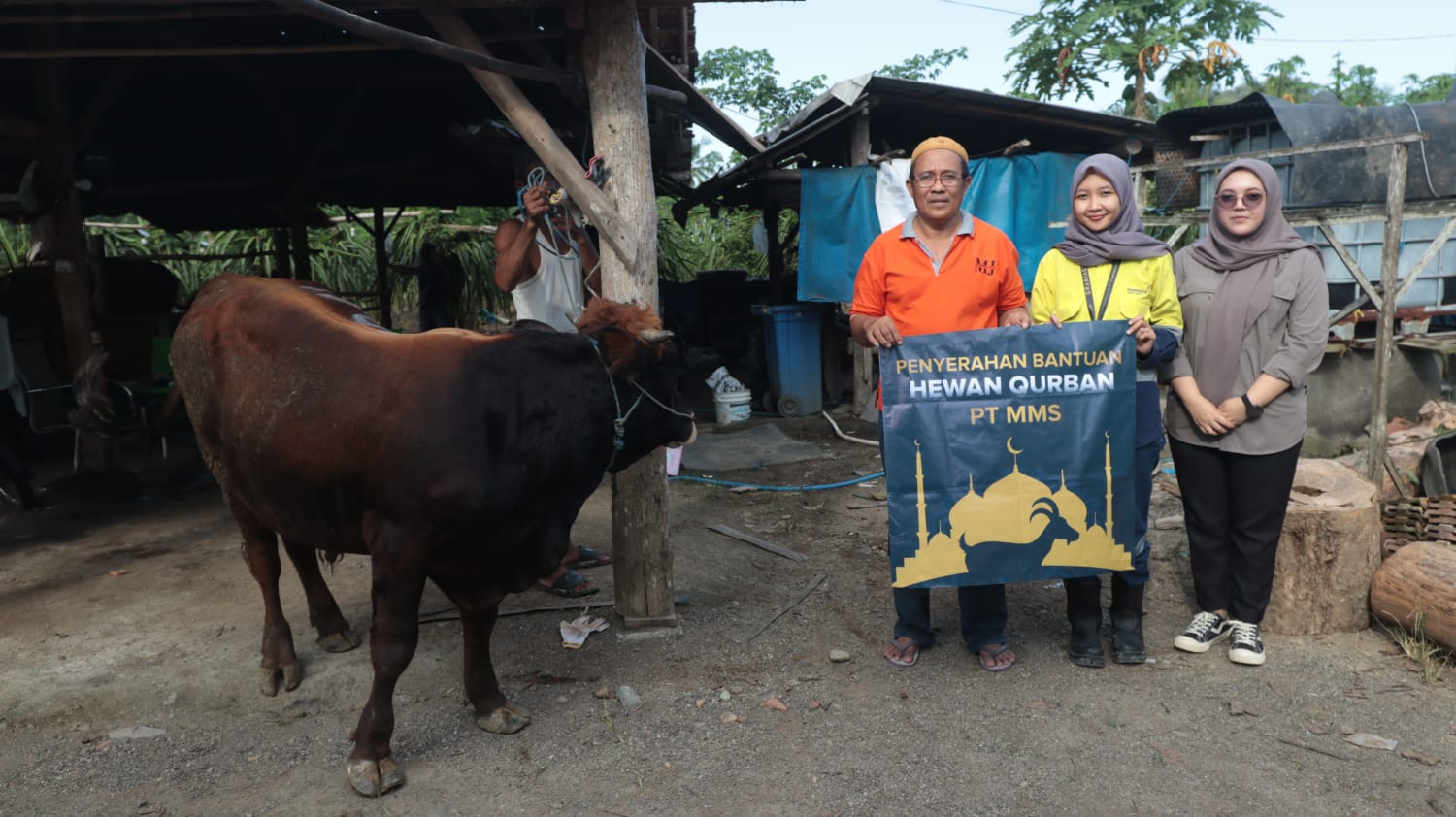 Penyaluran hewan kurban dari PT Bumi Suksesindo (PT BSI) untuk masyarakat.